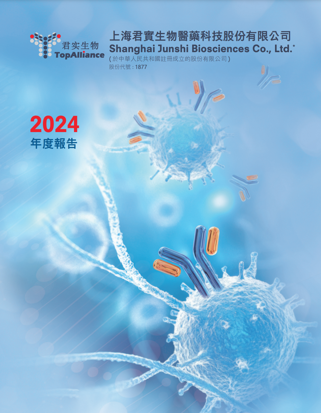 2024年度報告